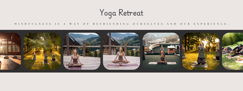 Image for Embark on a Transformative Journey at Our Yoga Retreat