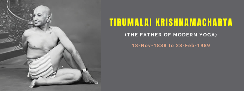 Image for Tirumalai Krishnamacharya: The Father of Modern Yoga
